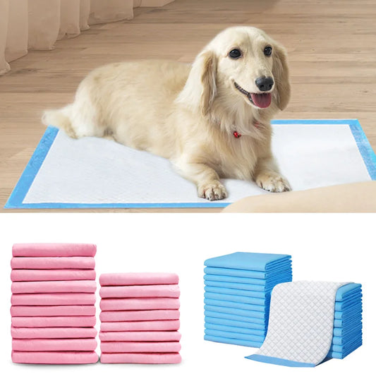 10 Uds pañales desechables para perros almohadillas súper absorbentes pañales para mascotas para perros gatos cachorros productos para mascotas accesorios Couche chien