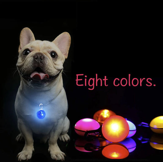 Pet LED Flashlight Collar Night Safety Dog Cat Guide Lights Glowing Pendant Necklace Pet Luminous Bright Collar NO BATTERY